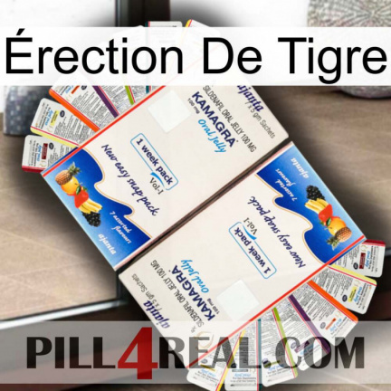 Érection De Tigre kamagra1